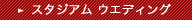 スタジアムウエディング