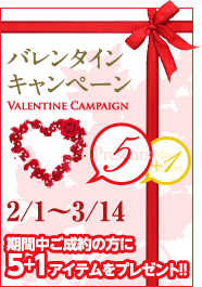 2010.2 New Year キャンペーン!ご成約の方に5+1アイテムをプレゼント!詳しくはこちらをクリック!