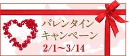 2010.2 New Year キャンペーン！ご成約の方に5+1アイテムをプレゼント！詳しくはこちらをクリック！